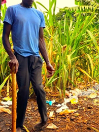 Provide a wheelchair